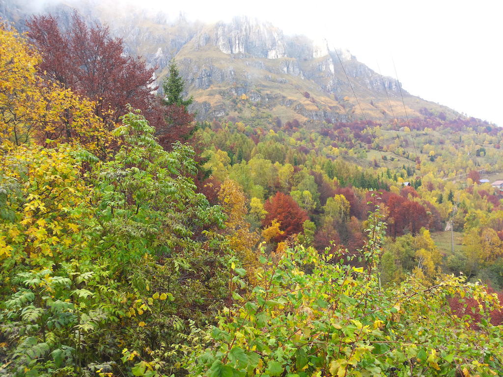 Hotel Rifugio Soldanella Ballabio Zewnętrze zdjęcie